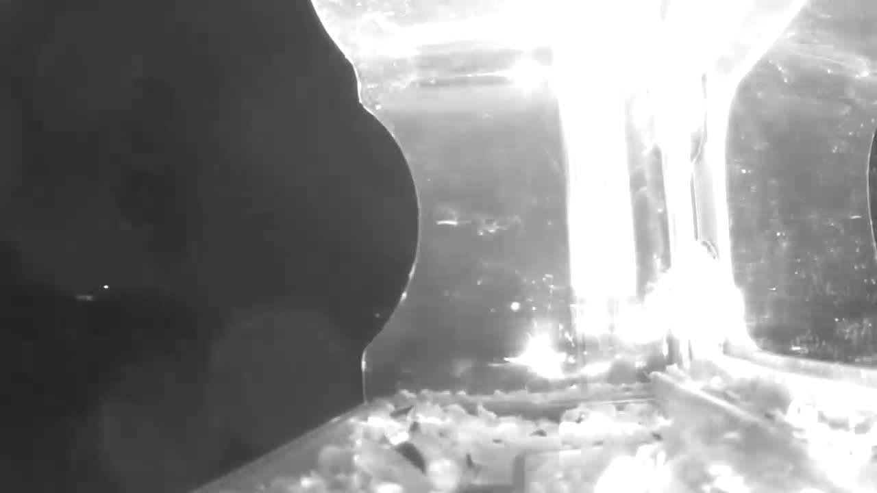 Latest bird feeder camera image from Green Bay Weather Cam